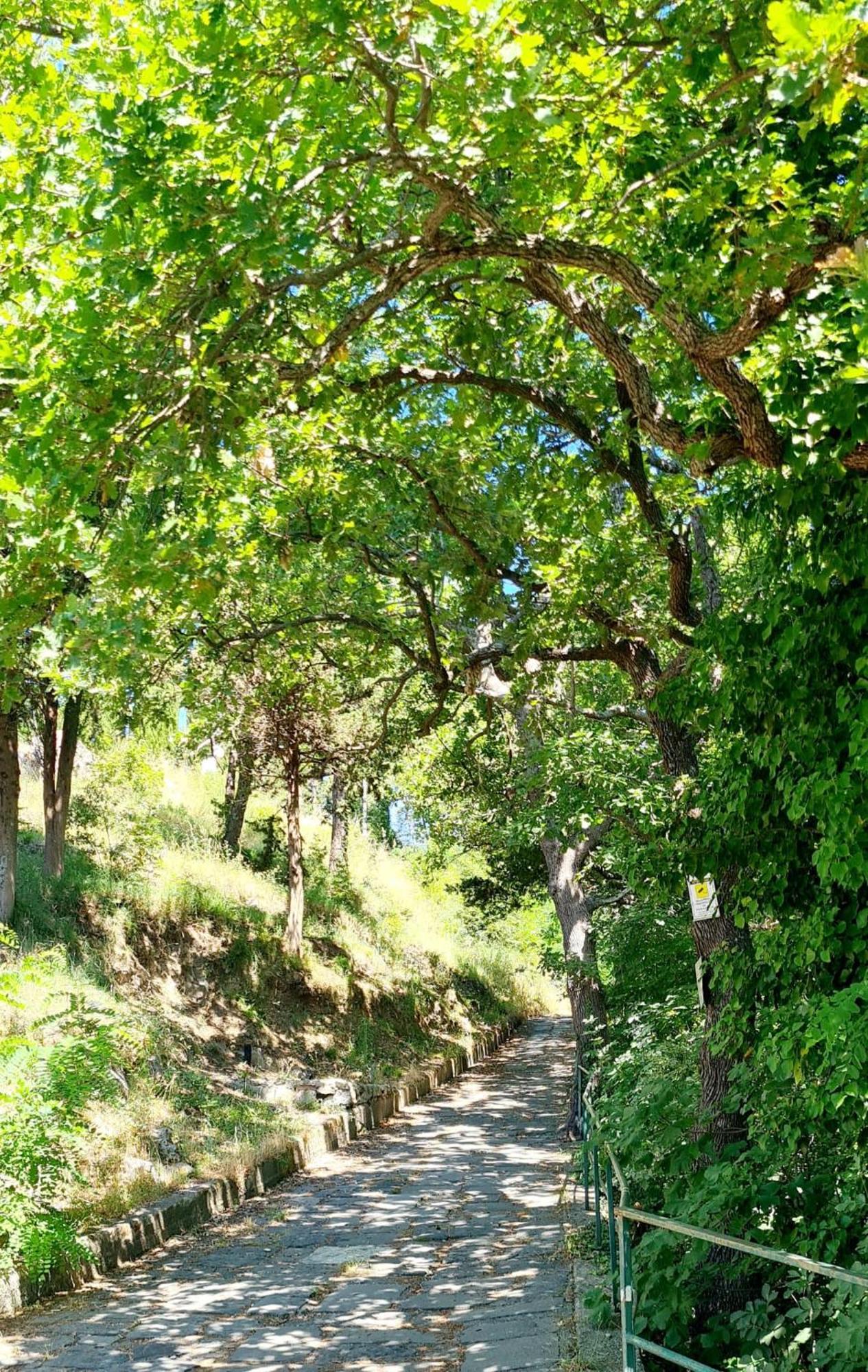 Villa Blu Costiera Amalfi Kültér fotó